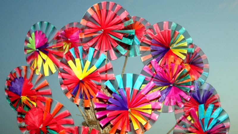 paper-fans-1169094-1919x1278-800x533 paper-fans-1169094-1919x1278-800x533